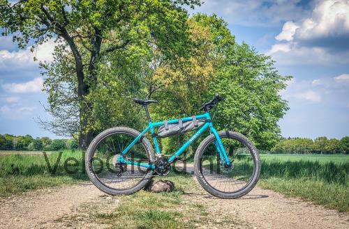 Surly Bridge Club specificaties 